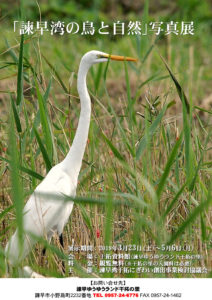 諫早湾の鳥と自然　写真展