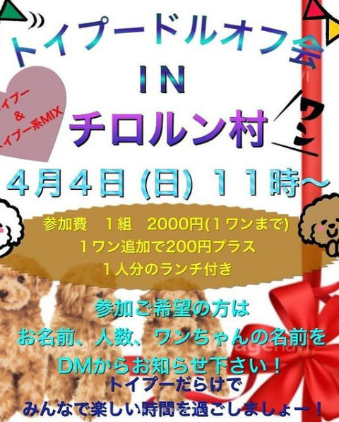 トイプードルオフ会