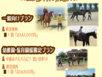 サラブレッド引き馬体験（ご案内）