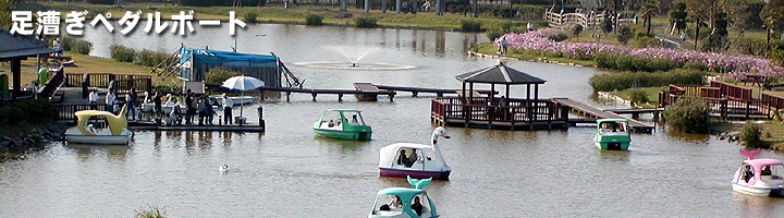 足漕ぎペダルボート