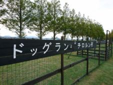 ドッグラン「チロルン村」