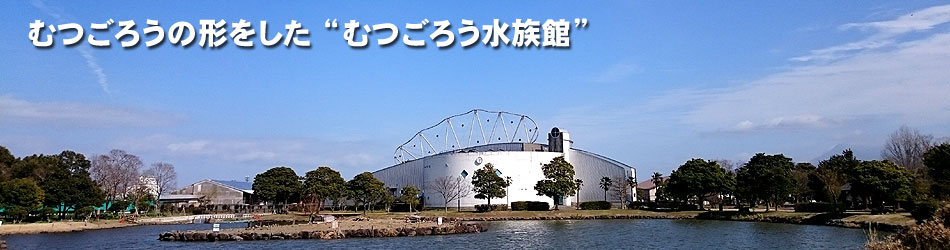 むつごろう水族館